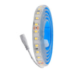IP68 IP67 Waterproof LED Strip Light 2835 12V 24V DC Natural Warm White 120LED/m Super Bright Flexible Led Tape Lamp 0.5m 5m 10m