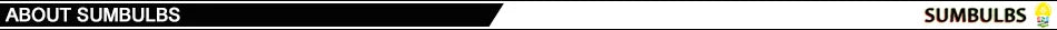 [SUMBULBS] 19x19mm 17mm LED COB Light Source Diode Chip Cold 30-33V 10W 15W 20W 30W for Down Track Lamp DIY Lamp Bulb