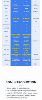 Sipeed Tang Mega 138K 60K Dock GOWIN GW5AST RISCV FPGA Development Board