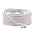 12V 24V COB LED Neon Strip Light IP68 Waterproof 320LEDs/m 2PIN Wire DC Plug 3000K 4000K 6000K Flexible Tape Rome Lighting 0.5m