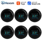 Tuya Wifi Leak With Temperature Function Combustible Gas Detectors Support Home Smart Life Natural Gas Alarm Sensor LCD Display