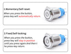 5PCS 16/19/22MM Waterproof Metal Push Button Switch LED Light Momentary Latching Car Engine Power Switch Socket 5V 12V 24V 220V