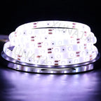 12V 24V LED Strip SMD 2835 Flexible LED Tape 5M 120 240 480Leds/m Waterproof Ribbon Diode Room Decor Warm Natural Cool White