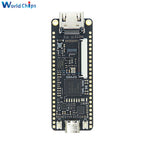 Tang Nano 9K Gaoyun FPGA GoAI Development Board GW1NR-9 RISC-V RV HDMI 40P RGB Interface with 1.14/4.3/5/7 Inch SPI Bare Screen