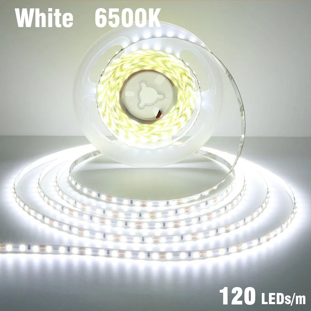 5mm 8mm LED Strip 2835 DC24V 12V 120LEDs/m Home Lamp Strips Red Ice Blue Yellow Orange Pink Flexible And Cuttable Soft Lamp Bar