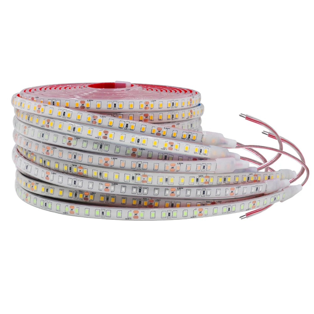IP68 Waterproof LED Strip Lights 24V 2835 120Leds/m Warm Natural White Red Green Blue Flexible Luces Led Tape Underwater Decor