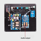 YJCO TPA3255 300W Power Amplifier Board Active Speakers Subwoofer with RCA XLR Input AC-220V Amp Board for Audio Equipment