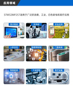 STM32MP257 Core Board, ARM Cortex-A35 & M33 Heterogeneous Processor, Embedded Linux Edge AI Industrial Control Module