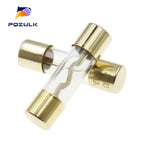 5PCS 10*38 Gold Plated Glass AGU Fuse Fuses Pack Car Audio Amp Amplifier 10A 15A 20A 25A 30A 40A 50A 60A 70A 80A 100A