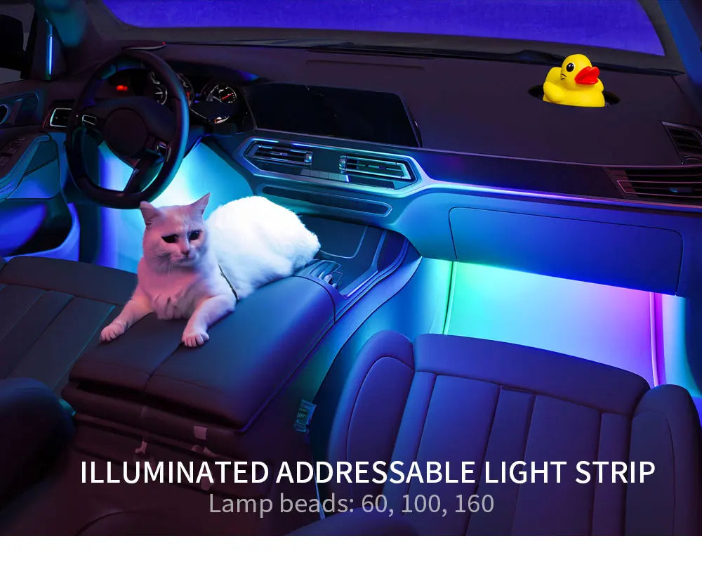 WS2812B RGBIC Individually Addressable COB LED Strip WS2812 High Density 60/100/160Leds/m 5mm/10mm COB Led Light DC5V