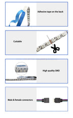 5m 12V 24V DC RGB LED Strip 30LEDs/m 60LEDs/m 96LEDs/m 120LEDs/m SMD 5050 Flexible LED Light Tape 8mm 10mm PCB for Decoration