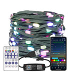 WS2812B RGB LED StringTransparent Green Black Wire Addressable  Wedding Garland Decoration Christmas Lights USB Controller DC5V
