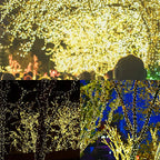 Green Cable LED Christmas String Fairy Lights Garland Outdoor Waterproof For Birthday Party Halloween Garden Room Decoration