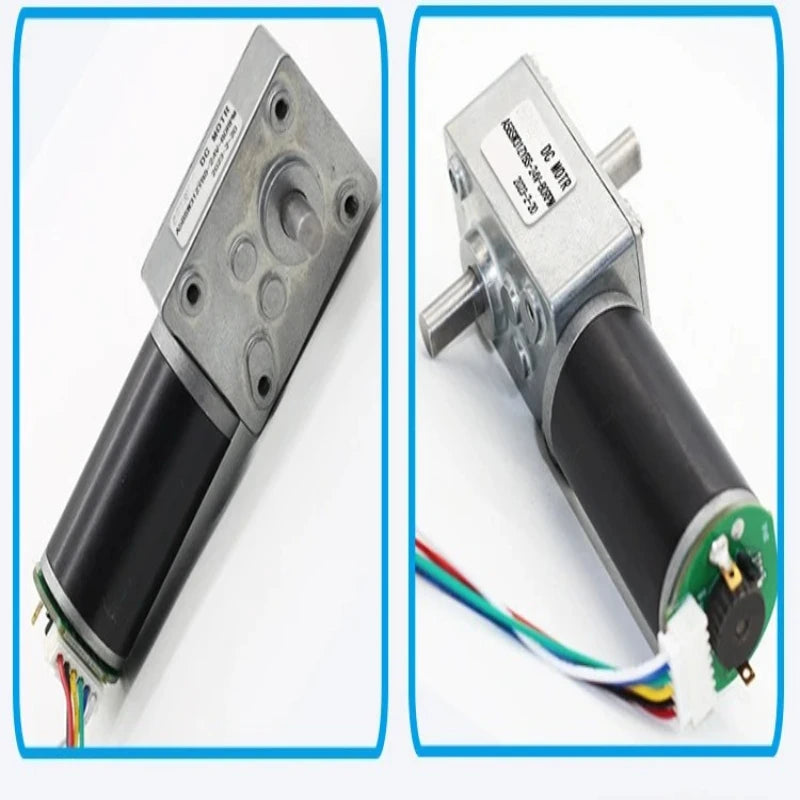 A58SW-31ZYS DC 12V 24V High Torque Worm Gear Motor Electric Engine