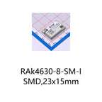 chip Integrated circuit chip MCU chip RAK11160-9-SM-I RAK11160-8-SM-I RAK11160-8-SM-NI RAK11160-9-SM-NI SC0919 RAk4630-8-SM-I
