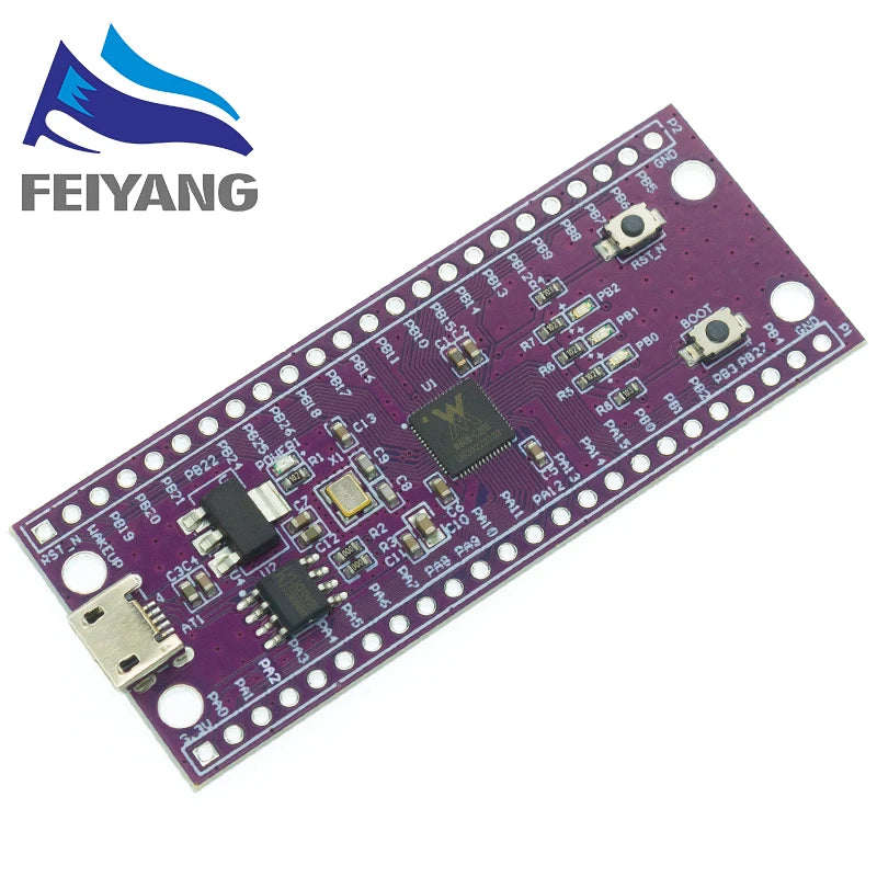 W806 Microcontroller 240MHZ 5-8Bit STM32 Development Board CH340 IoT MCU Chip CDK Development Environment Low Power IOT