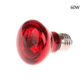25/40/50/60/75/100W E27 UVA Poultry Bulb Infrared Night Light Day Poultry Heating Bulb For Plants Amphibians Reptile Pets