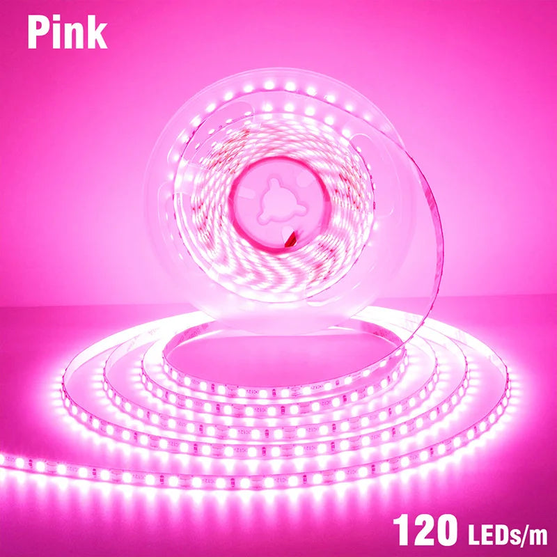 5mm 8mm LED Strip 2835 DC24V 12V 120LEDs/m Home Lamp Strips Red Ice Blue Yellow Orange Pink Flexible And Cuttable Soft Lamp Bar