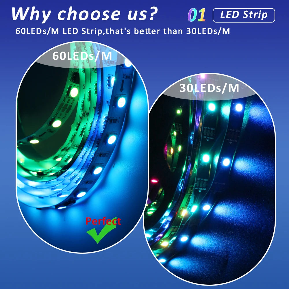 WS2811 RGB IC Running Water Flowing Strip Lights DC 24V 5050 60Leds RGBIC Flexible Ribbon RF Touch Remote Control LED Lighting