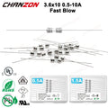 10pcs 3.6x10 mm Fast Blow Tube Glass Fuse With Lead Wire 0.5A 1A 1.5A 2A 3A 3.15A 5A 6.3A 10A 125V 250V 3.6x10mm Wiring