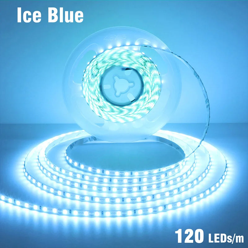 5mm 8mm LED Strip 2835 DC24V 12V 120LEDs/m Home Lamp Strips Red Ice Blue Yellow Orange Pink Flexible And Cuttable Soft Lamp Bar