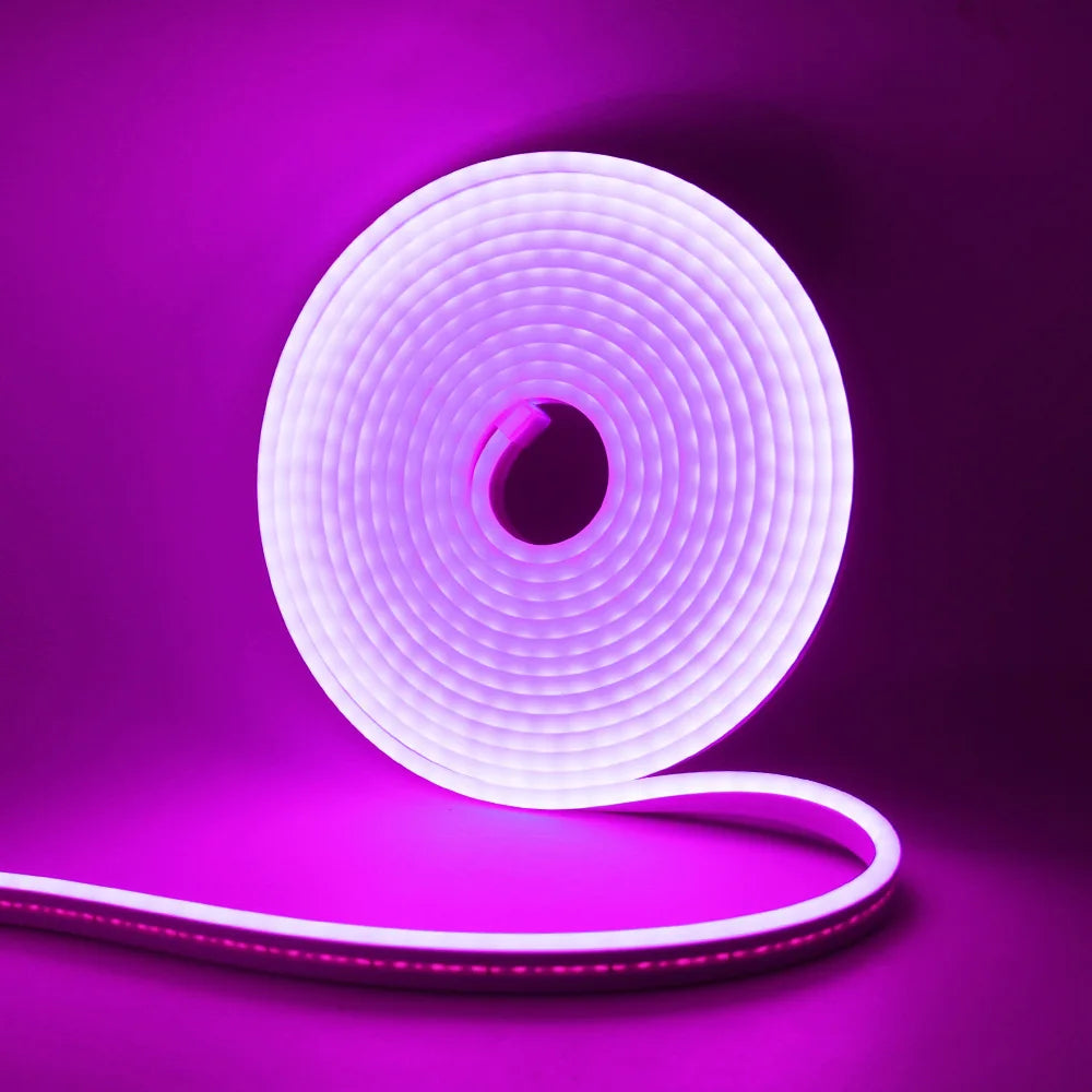 12V 24V LED Neon Light Strip Waterproof Neon Sign 6X12mm Silicone Rope Lights Flexible Lamp Decoration with DC Plug/2pin Wire