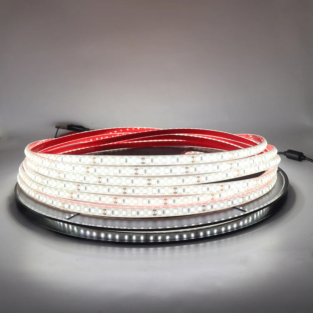 12V 24V 5m 10m 20m LED Strip Light IP68 Waterproof 2835 9 Colors Flexible Tape with 2pin Wire 120LED/m Bright Ribbon 0.5m 1m 2m