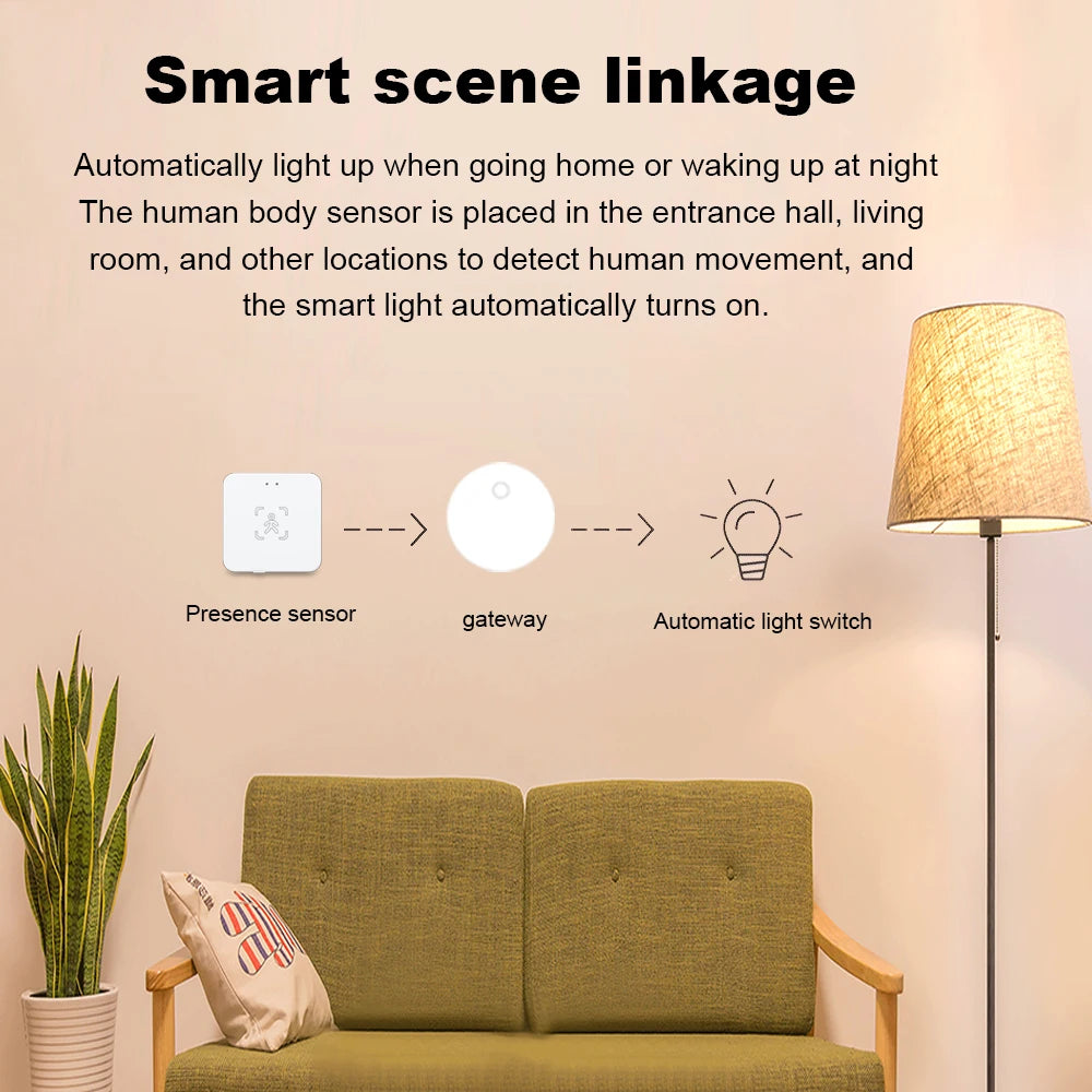 Haozee 24G Zigbee/Wifi Human Presence Detector Smart Human Body PIR Sensor Radar Detector Motion Sensors Support Home Assistant