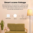 Haozee 24G Zigbee/Wifi Human Presence Detector Smart Human Body PIR Sensor Radar Detector Motion Sensors Support Home Assistant
