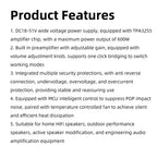 XY-AP3002 Pure Digital Power Amplifier Board TPA3255 Chip 600W Mono 300Wx2 Stereo HiFi Speaker pro Audio