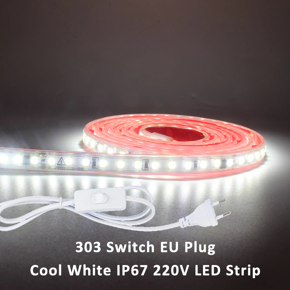 220V LED Strip Light SMD2835 120LEDs/m Waterproof Tape Lamp with EU Plug 1M 2M 3M 5M 10M 15M 20M Decor Lighting for the Yard