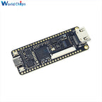 Tang Nano 9K Gaoyun FPGA GoAI Development Board GW1NR-9 RISC-V RV HDMI 40P RGB Interface with 1.14/4.3/5/7 Inch SPI Bare Screen