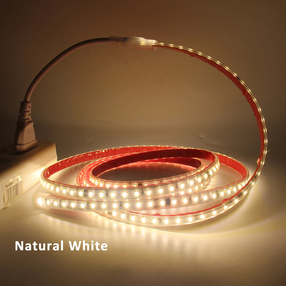 220V LED Strip Light SMD2835 120LEDs/m Waterproof Tape Lamp with EU Plug 1M 2M 3M 5M 10M 15M 20M Decor Lighting for the Yard