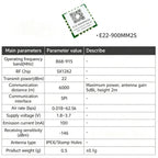 EBYTE E22-M Series SX1262 SX1268 Lora Module - Long Distance Wireless SMD High Precision TCXO at 170/433/868/915MHz