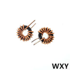 5Pcs 10/22/33/47/56/68/100uh220uH Toroid Core Inductors 65125 Winding Magnetic Inductance Iron Gauge Aluminum Magnetic Ring Coil