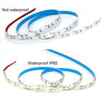 12V 24V LED Strip 2835 120LEDs/m Home Lamp Strip Pink Red Ice Blue Green Golden Yellow Orange Flexible Waterproof Soft Lamp Bar