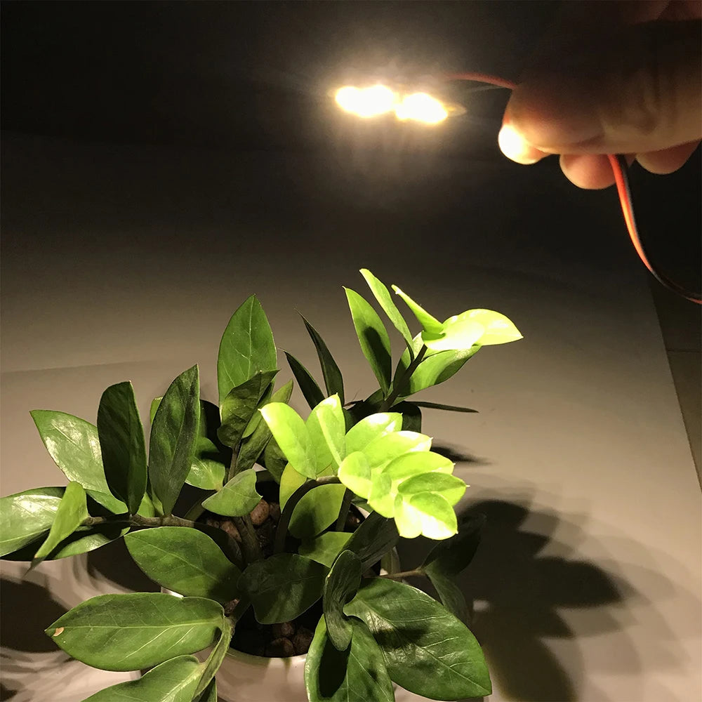 5pcs High Brightness 1.5W 5V LED 5730 SMD Color Lamp Bead Light Board Bulb With Line Red Yellow Green Blue Warm White Light