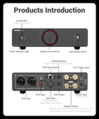 AIYIMA A20 PFFB Power Amplifier TPA3255 Hifi 300W X2 Stereo Power Amp With XLR/RCA Fully Balanced Input HPF High Pass Filter