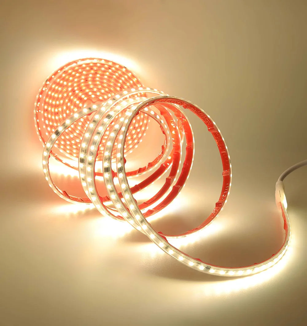 AC 2835 Led Strip Lights Dimmable 220V 230V 120 LEDs/m 0.5m 1m 2m 5m 10m 20m 50m Waterproof High Brightness Diode Tape Adhesive
