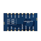 5pc/lot lora1262F30 - 315MHz 33dBm long range TCXO High sensitivity low current embedded 2W SPI SX1262 LoRa Module