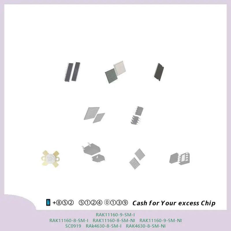 chip Integrated circuit chip MCU chip RAK11160-9-SM-I RAK11160-8-SM-I RAK11160-8-SM-NI RAK11160-9-SM-NI SC0919 RAk4630-8-SM-I