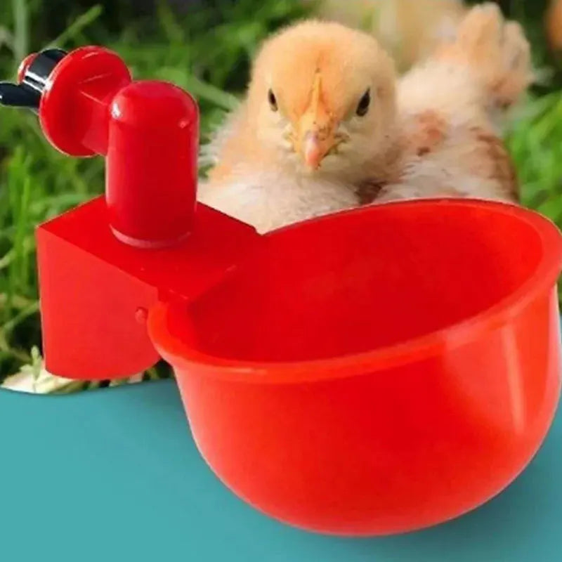 5-50Pcs Chicken Duck Drinking Cup Automatic Drinker Chicken Feeder Plastic Poultry Farm Water Drinking Cups Easy Installation