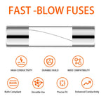 100/72pcs 5 * 20 6 * 30 Fast Melting Glass Tube Fuse Car Glass Tube Fuse Set with Box 0.2-20A 0.5-30A Household Fuse