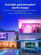 TUYA Intelligent LED Ceiling Light RGB Remote Dimming WiFi Bluetooth Decorative Light Living Room Bedroom Indoor Home Light