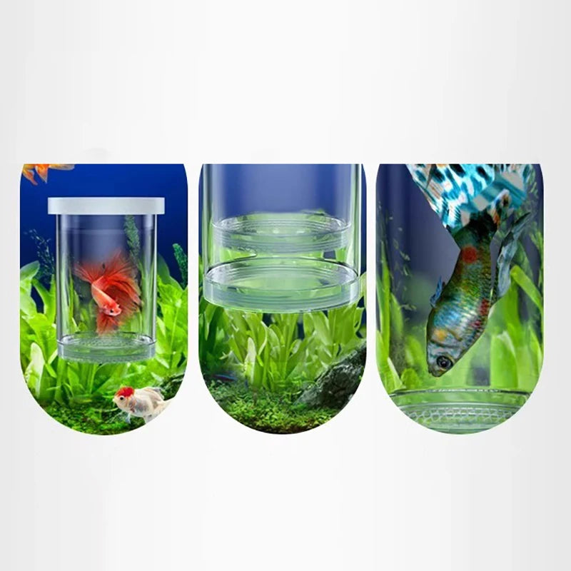 Hot Sale Floating Fish Breeding Isolation Box Aquarium Fish Tank Hatching Incubator Hatching Incubator Feeder Aquarium Hatchery