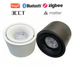 LED Surface Mounted Ceiling Light, 3CCT TUYA Bluetooth/Zigbee Matter Smart Spotlight Dimmable AC110V 220V Indoor Lighting