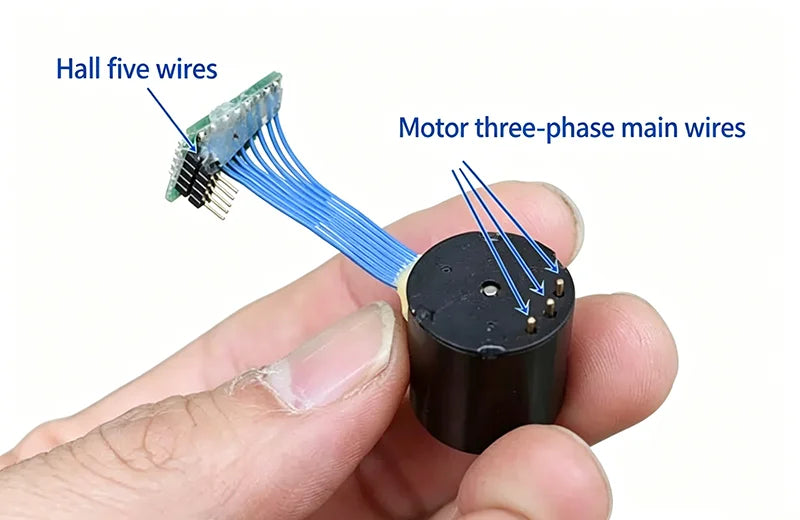 BLDC Small  Motor Hall Sensor High-Speed Neodymium Magnet 3-Phase RC Car Servo Model Car