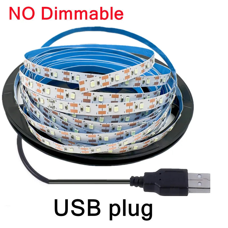 5V USB Led Strip Light SMD 2835 50CM 1M 2M 4M 5M White/Warm White/Red/Blue/Green IP21 Flexible Lighting Ribbon Tape Backlight