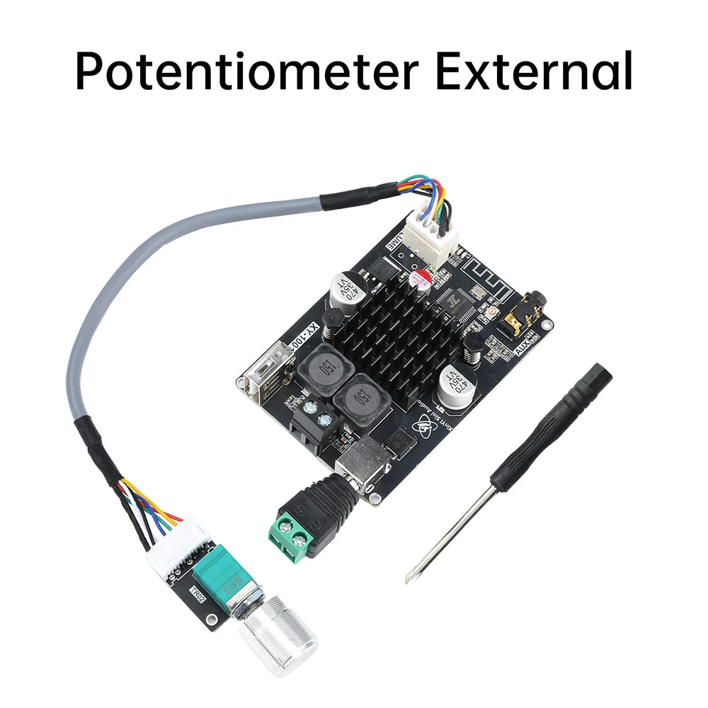 XY-1001W 100W Mono Digital Power Amplifier Board TPA3116D2 Audio Stereo Subwoofer Amplifier Board Bluetooth AUX DC 9-24V