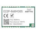 EBYTE SX1262 Lora Spread Spectrum E22P Series Wireless Module Built-In PA+LNA+SWA ESD Protection 30Dbm 12KM SPI 868Mhz